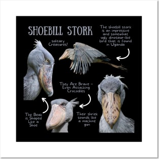 Animal Facts - Shoebill Stork Posters and Art